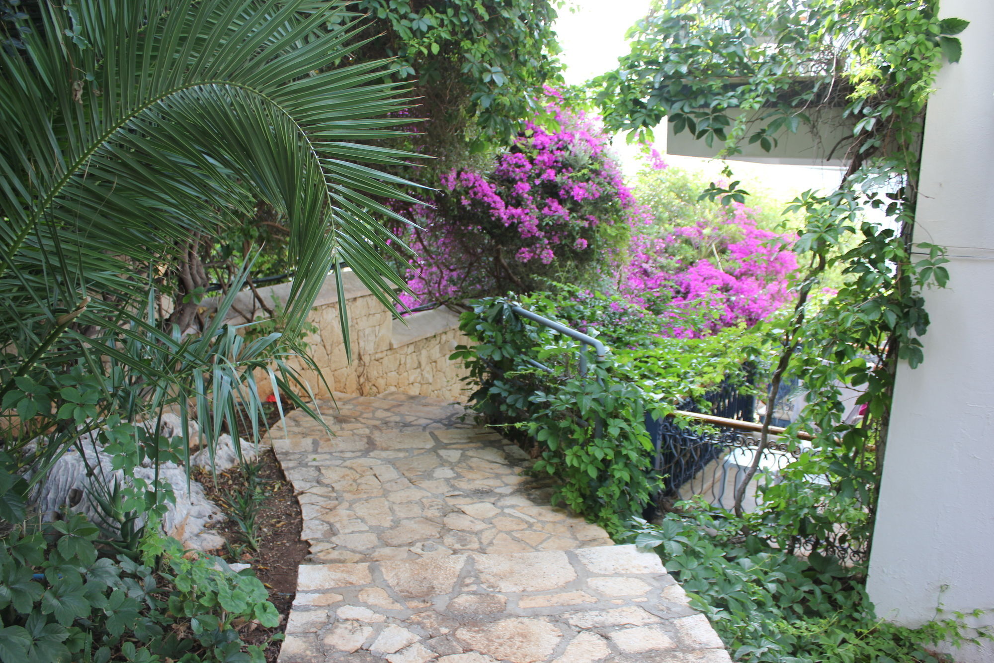 Korsan Ada Hotel Kaş Exteriör bild